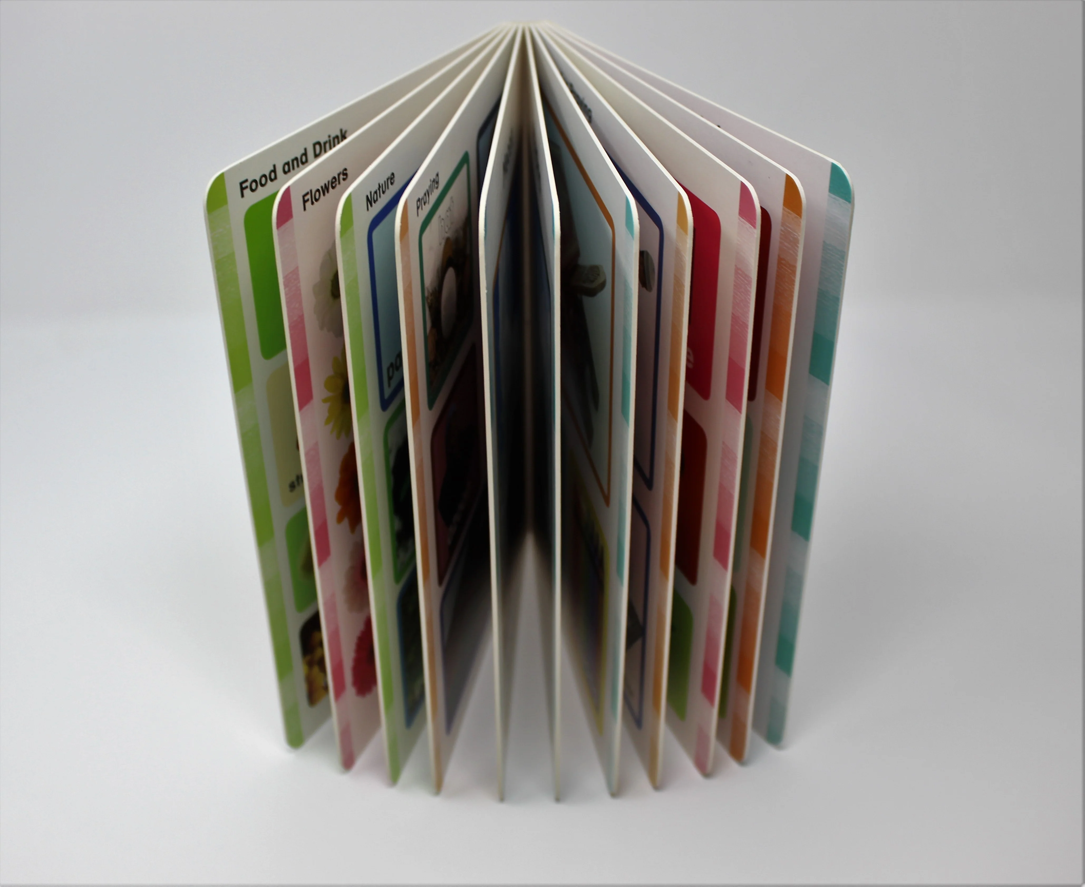My First Picture and Word Book: Things To Learn and See - Image 6